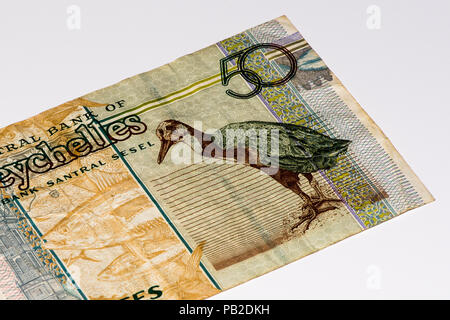 50 roupie Seychelloise billet de banque, la monnaie nationale des Seychelles Banque D'Images