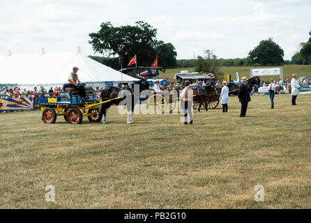 Dans Carthorses la concurrence et sur l'affichage dans le Ring à la foire agricole à Nantwich dans Cheshire England Royaume-Uni UK Banque D'Images