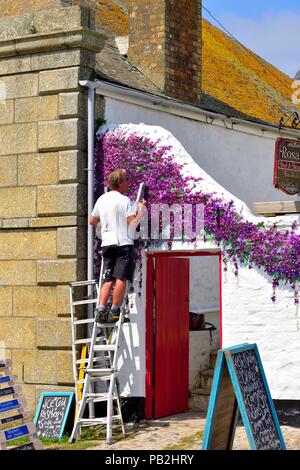 Un homme peinture fleurs violettes sur le mur blanc d'un jardin de thé. Cornwall Marazion,Angleterre,,UK Banque D'Images