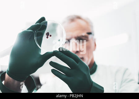 Serious chemist holding test tube dans ses mains le port de gants Banque D'Images