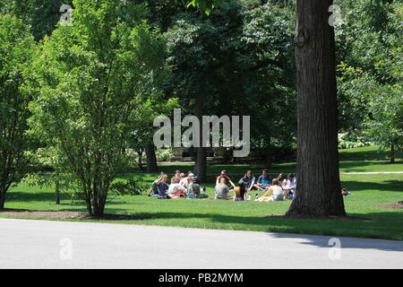 Groupe d'étudiants rassemblement pour une discussion sur l'herbe à un campus de l'Université Northwestern en scène l'été à Evanston, Illinois. Banque D'Images