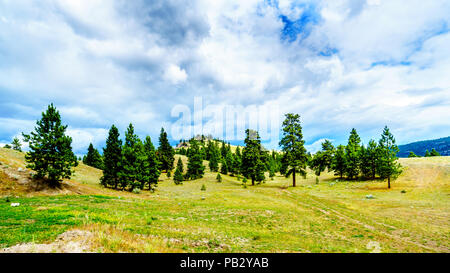 Des nuages sombres qui pèsent sur les terres fertiles et de collines le long de la route 5A près de Nicola Lake, entre Kamloops et Merritt dans la région de Okanagen Banque D'Images