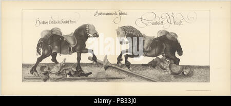 Turnierbuch Johanns des Bestandigen BL. 79 Banque D'Images