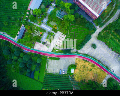 Chengdu, Chengdu, Chine. 26 juillet, 2018. Chengdu, Chine-photographie aérienne de la plantation de thé de Chengdu, dans le sud-ouest de la province chinoise du Sichuan. Crédit : SIPA Asie/ZUMA/Alamy Fil Live News Banque D'Images