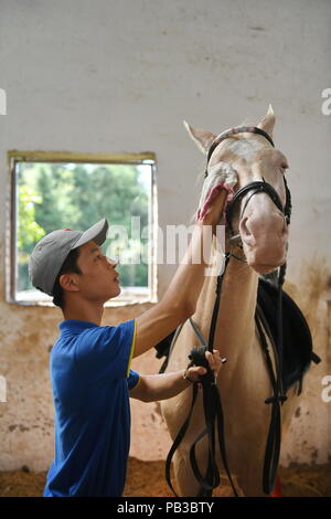 (180726) -- NANCHANG, le 26 juillet 2018 (Xinhua) -- Huang Wanpeng, un étudiant de Soleil Riding School, lingettes le cheval en face avant d'une session de formation dans le Xian de de Fuzhou, Chine de l'est la province de Jiangxi, du 25 juillet 2018. Rennes n'a jamais été entendu dans le Xian de, un comté agricole dans l'est de la Chine, la province de Jiangxi, jusqu'à l'École d'équitation du Soleil ont commencé à recruter des adolescents en milieu rural en 2015. Jusqu'à présent, la plupart des 90 élèves travaillent ou qui aspirent à travailler dans l'équitation clubs dans la plus grande des villes comme Beijing, Shanghai et Hangzhou. (Xinhua/Zhou Mi) (LMM) Banque D'Images