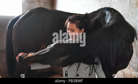 (180726) -- NANCHANG, le 26 juillet 2018 (Xinhua) -- Tang Siqi, un étudiant de Soleil Riding School, alimente une pomme pour un cheval dans le Xian de de Fuzhou, Chine de l'est la province de Jiangxi, du 14 mars 2018. Rennes n'a jamais été entendu dans le Xian de, un comté agricole dans l'est de la Chine, la province de Jiangxi, jusqu'à l'École d'équitation du Soleil ont commencé à recruter des adolescents en milieu rural en 2015. Jusqu'à présent, la plupart des 90 élèves travaillent ou qui aspirent à travailler dans l'équitation clubs dans la plus grande des villes comme Beijing, Shanghai et Hangzhou. (Xinhua/Zhou Mi) (LMM) Banque D'Images