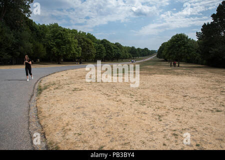 Windsor, Royaume-Uni. 26 juillet, 2018. UK : Météo, desséché l'herbe jaunie aux côtés de la Longue Marche dans Windsor Great Park en face du château de Windsor. Les températures ont déjà atteint 35°C aujourd'hui à proximité de l'aéroport de Heathrow. Credit : Mark Kerrison/Alamy Live News Banque D'Images