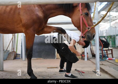 (180726) -- NANCHANG, le 26 juillet 2018 (Xinhua) -- Zhou Jian, un étudiant de Soleil Riding School, les sabots des chevaux dans le Xian de de Fuzhou, Chine de l'est la province de Jiangxi, du 8 mai 2018. Rennes n'a jamais été entendu dans le Xian de, un comté agricole dans l'est de la Chine, la province de Jiangxi, jusqu'à l'École d'équitation du Soleil ont commencé à recruter des adolescents en milieu rural en 2015. Jusqu'à présent, la plupart des 90 élèves travaillent ou qui aspirent à travailler dans l'équitation clubs dans la plus grande des villes comme Beijing, Shanghai et Hangzhou. (Xinhua/Zhou Mi) (LMM) Banque D'Images