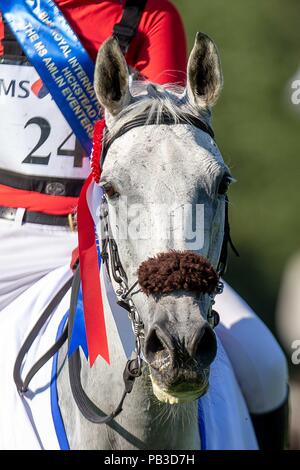 Hickstead, Sussex, UK. 26 juillet 2018. Gagnant. Paul Tapner équitation Bonza Roi des rouges. AUS. Remise des prix.l'Amlin Challenge MS Eventers. Longines Jumping FEI Nations Cup de Grande-bretagne au Royal International Horse Show BHS. Tous les cours de saut de l'Angleterre. Hickstead. La Grande-Bretagne. 26/07/2018. Credit : Sport en images/Alamy Live News Banque D'Images