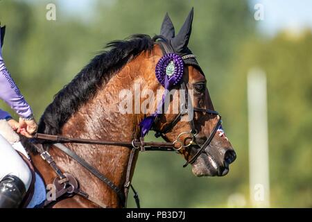 Hickstead, Sussex, UK. 26 juillet 2018. 7e place. Gemma Tattersall équitation Santiago Bay. GBR. Remise des prix.l'Amlin Challenge MS Eventers. Longines Jumping FEI Nations Cup de Grande-bretagne au Royal International Horse Show BHS. Tous les cours de saut de l'Angleterre. Hickstead. La Grande-Bretagne. 26/07/2018. Credit : Sport en images/Alamy Live News Banque D'Images