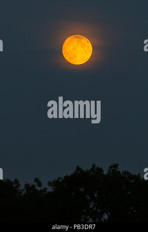 Londres. UK 26 juillet 2018. Lune de sang au-dessus du nord de Londres. Le vendredi 27 juillet, une éclipse lunaire totale sera visible de presque toutes les parties du monde. Credit : Dinendra Haria/Alamy Live News Banque D'Images