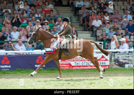 Llanelwedd, Powys, au Royaume-Uni. 26 juillet 2018. 14-year-old Tori Thomas rides Le Royal Welsh cheval suprême de Champion 2018 PENSTRUMBLY - LATTE - un spectacle Notre Hunter Pony administré par David Thomas, éleveur Kath Hall. Tori est la fille de David Thomas. le dernier jour de la Royal Welsh Show agricole. Le Royal Welsh Show agricole est salué comme le plus grand et plus prestigieux événement du genre en Europe. Plus de 200 000 visiteurs sont attendus cette semaine au cours de la période de quatre jours. © Graham M. Lawrence/Alamy Vivre Crédit : Graham M. Lawrence/Alamy Live News Banque D'Images