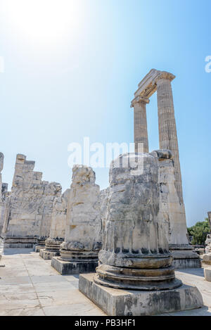 Vue extérieure du Temple d'Apollon à Didyma à Didim Aydin,,Turquie. Banque D'Images