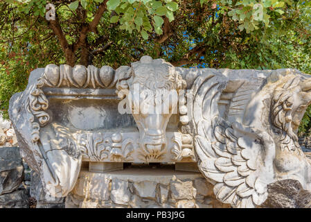 Tête en pierre de Bull au Temple d'Apollon à zone archéologique de Didim Aydin, Didymes, province, la Turquie, l'Europe. Banque D'Images
