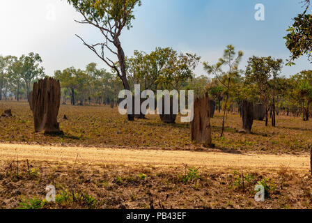 Termitières magnétiques, LICHFIELD NATIONAL PARK, TERRITOIRES DU NORD, AUSTRALIE Banque D'Images