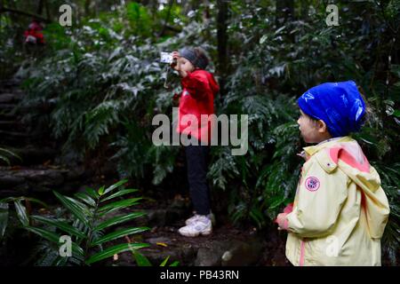 Une photographie de l'enfant elle-même lors d'une randonnée, les enfants de marcher sur la piste à Souita Falls, Atherton, Queensland, Australie Banque D'Images