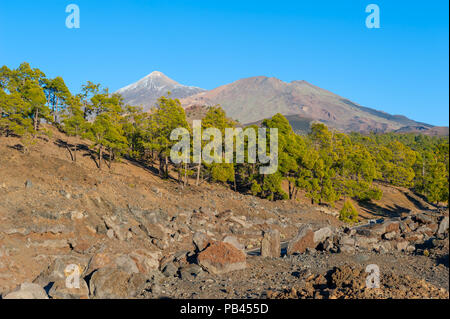 Le Parc National du Teide, Tenerife, Canaries, Espagne Banque D'Images