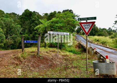 Le pont sur le ruisseau avec Pepina falls, Atherton, Queensland, Australie Banque D'Images