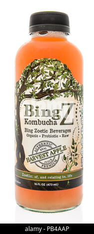 Winneconne, WI - 25 juillet 2018 - Une bouteille Bing Z sur un Apple harvest Kombucha fond isolé. Banque D'Images