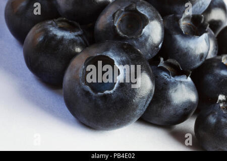 Groupe de myrtilles sur un fond blanc ,la macro photographie ,la lumière fait briller la surface des fruits , une ombre est sur le fond blanc Banque D'Images