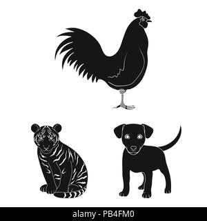 Animaux réalistes icônes noires dans set collection pour la conception. Les animaux sauvages et domestiques symbole vecteur illustration de stock. Illustration de Vecteur