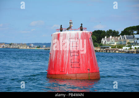 Bouée à l'entrée du port de Poole avec des oiseaux qui s'y reposent Banque D'Images