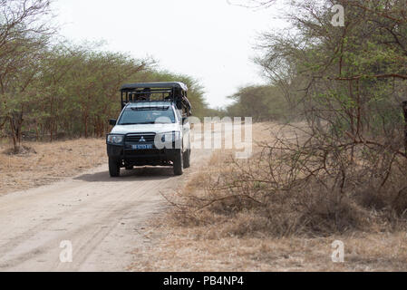 Aller sur Safari à la réserve de Bandia, le Sénégal, l'Afrique de l'Ouest Banque D'Images