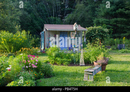 Le sprinkleur dans le jardin communautaire, été, Maine, USA Banque D'Images