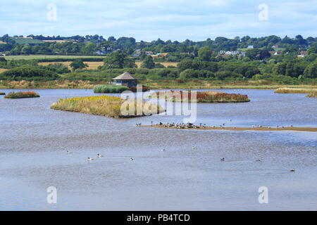 Trou noir Marsh partie de la réserve naturelle des zones humides Seaton dans l'est du Devon Banque D'Images