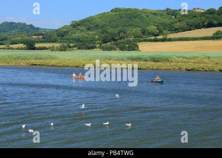 Les kayakistes sur la rivière Ax'estuaire près de la ville de Seaton dans l'est du Devon Banque D'Images