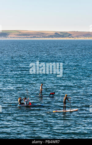 Un groupe de deux hommes et deux femmes paddleboarders avec un chien sur la mer à Westward Ho !, Devon, UK Banque D'Images