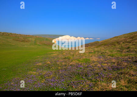 Les falaises de craie blanche sept Sœurs East Sussex uk entre Seaford et Eastbourne attraction touristique dans le sud de l'Angleterre Banque D'Images