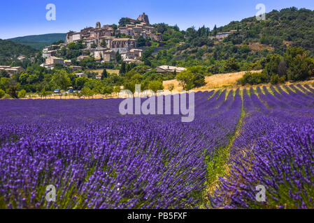 Vieux village sur une colline, Simiane-la-Rotonde avec champ de lavande en premier plan, Provence, France, département des Alpes-de-Haute-Provence Banque D'Images