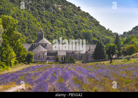 Abbaye de Sénanque avec champ de lavande, le village de Gordes, Provence, France, massif du Luberon, l'abbaye médiévale de l'Ordre Cistercien Banque D'Images