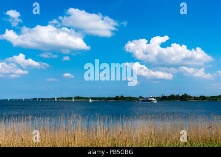 Temps d'été ensoleillé pour la voile sur le Fjord Schlei, Lindaunis, paysage d'Angeln, Schleswig-Holstein, Allemagne Banque D'Images