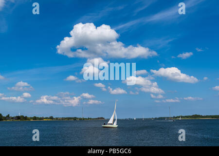 Temps d'été ensoleillé pour la voile sur le Fjord Schlei, Lindaunis, paysage d'Angeln, Schleswig-Holstein, Allemagne Banque D'Images