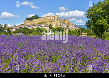 Grignan village situé sur une colline avec lavande, Provence, France, village avec château château de Grignan, en Drôme, région Auvergne-Rhône Banque D'Images