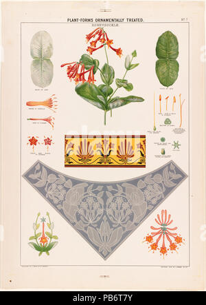 1204 Plant-Forms Ornamentally Chèvrefeuille - traités par Boston Public Library Banque D'Images