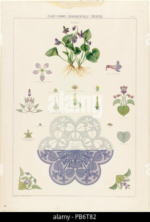 1204 Plant-Forms Ornamentally traités - Violet par Boston Public Library Banque D'Images