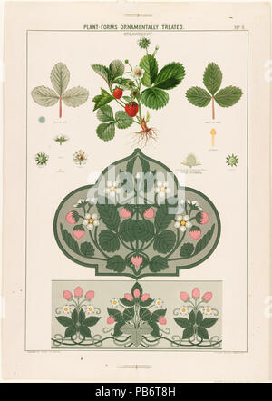 1204 Plant-Forms Ornamentally traités - Fraise par Boston Public Library Banque D'Images