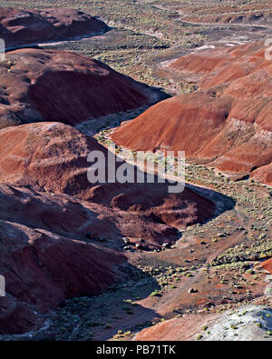 Vallée sinueuse dans le Painted Desert, Arizona, USA Banque D'Images