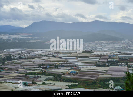 Les plantations de légumes dans la région de Dalat, Vietnam. Da Lat est situé à 1500 m au-dessus du niveau de la mer sur le Plateau Langbian. Banque D'Images