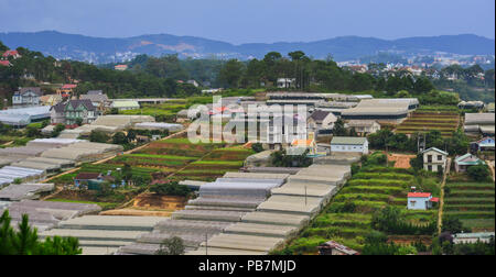 Les plantations de légumes dans la région de Dalat, Vietnam. Da Lat est situé à 1500 m au-dessus du niveau de la mer sur le Plateau Langbian. Banque D'Images