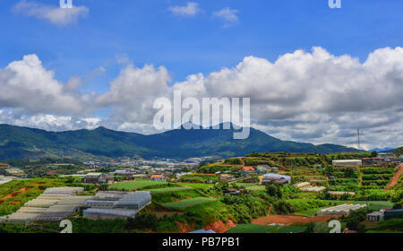 Les plantations de légumes dans la région de Dalat, Vietnam. Da Lat est situé à 1500 m au-dessus du niveau de la mer sur le Plateau Langbian. Banque D'Images