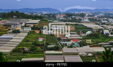 Les plantations de légumes dans la région de Dalat, Vietnam. Da Lat est situé à 1500 m au-dessus du niveau de la mer sur le Plateau Langbian. Banque D'Images