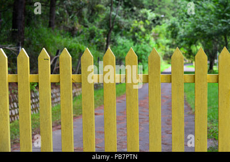 Clôture en bois jaune avec chemin dans la pinède. Banque D'Images