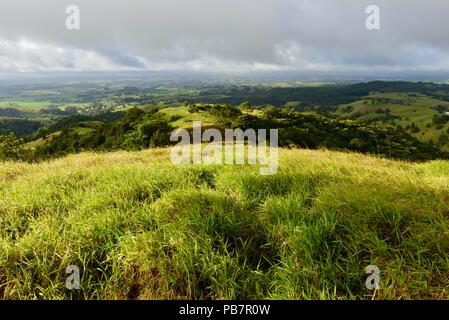 Millaa Millaa Lookout, Atherton, Queensland, Australie Banque D'Images