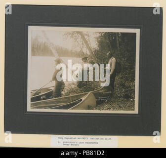 1212 Porcupine's lady prospecteur (HS85-10-24373) original Banque D'Images