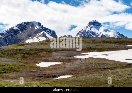 Les randonneurs à la crête de Parker Ridge sur la Promenade des glaciers dans le Parc National Jasper avec Mont Athabasca et les Rocheuses en arrière-plan. Banque D'Images