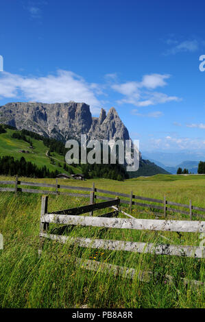 Sciliar groupe dolomitique vus de Siusi (Alpe di Siusi). Le Tyrol du Sud, Italie. Banque D'Images